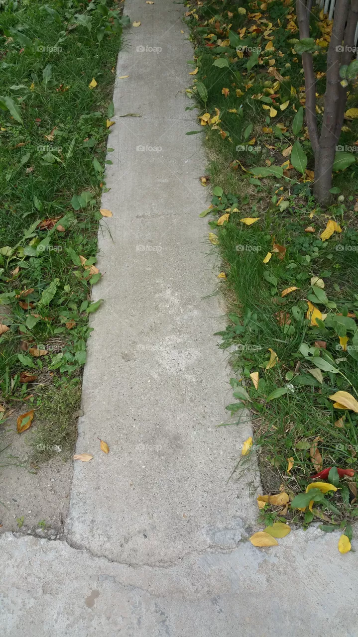 Autumn