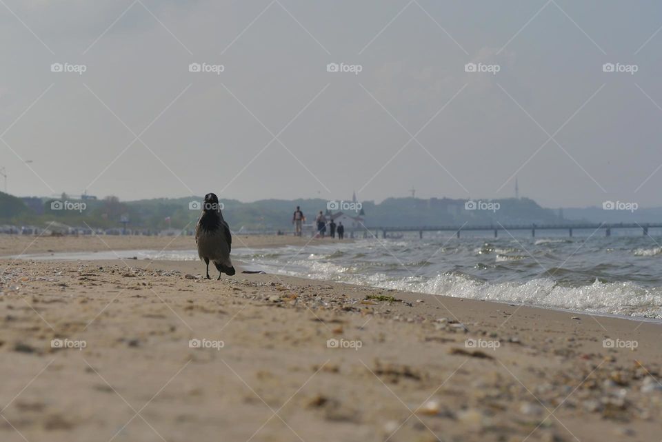 Walking on beach