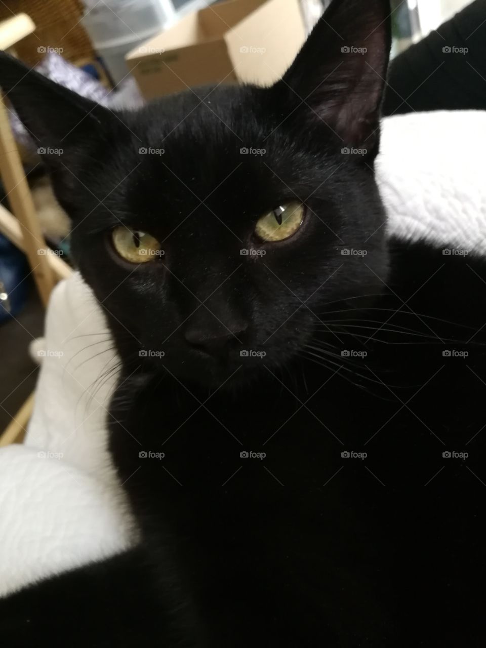 Look deep into my eyes