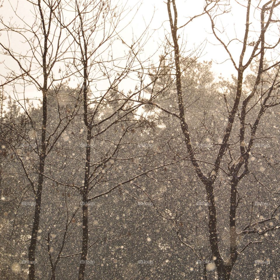 Snow is falling 😁