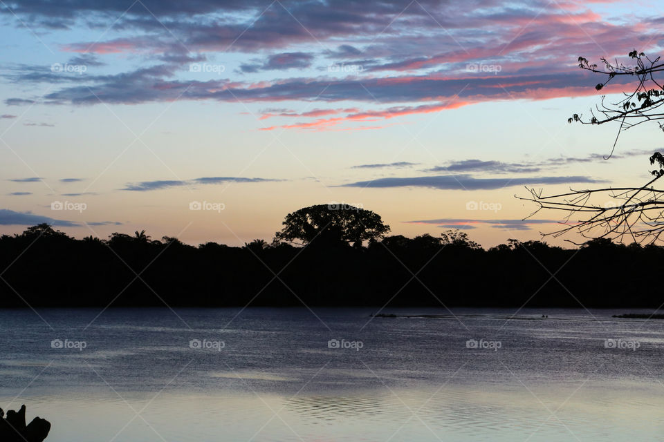 Jungle sky line