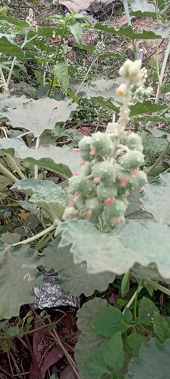 ❤💚❤💚❤💚❤💚💙💙❤💚❤💚💙💙