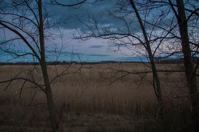 Sunset over the field 