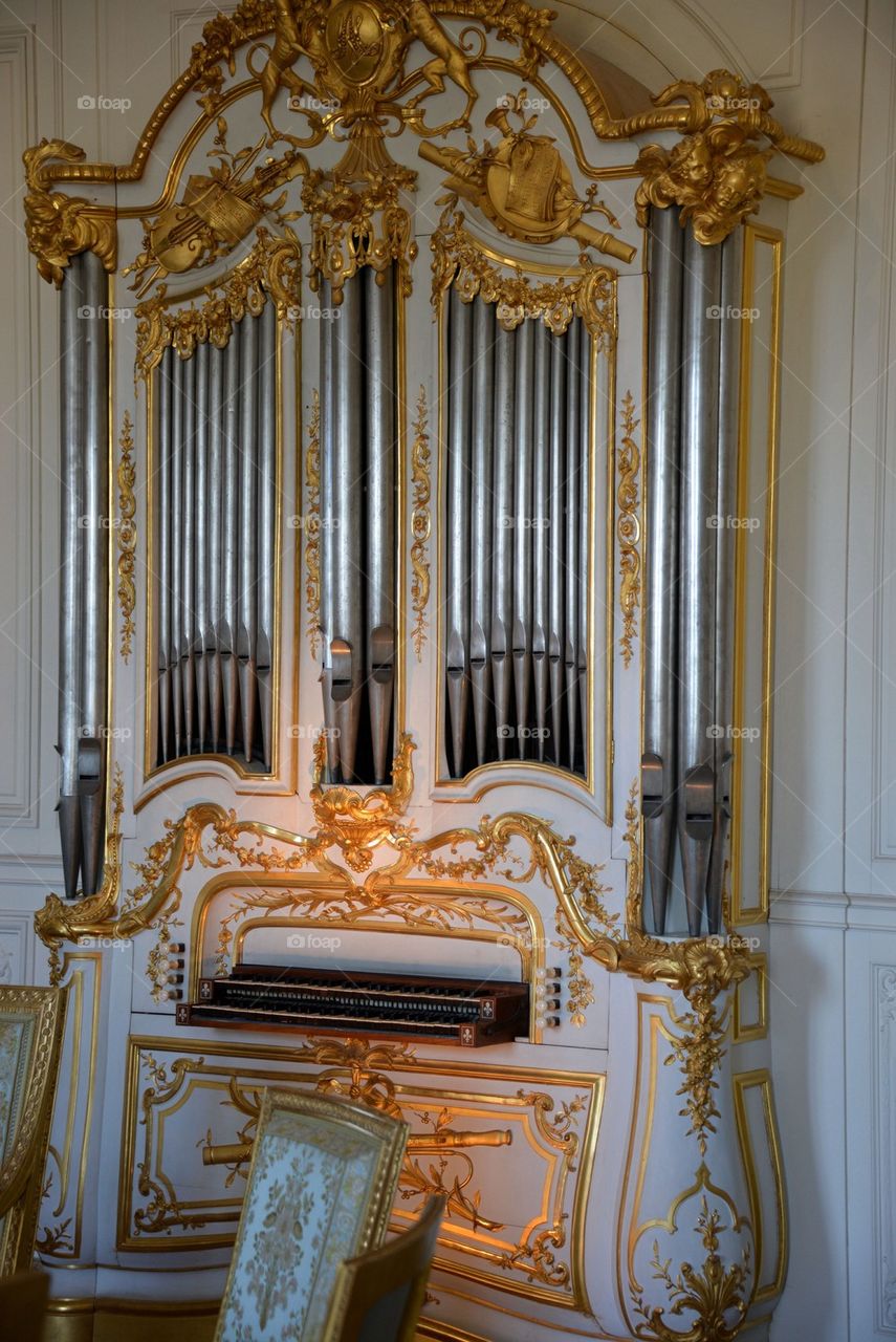 Organ
