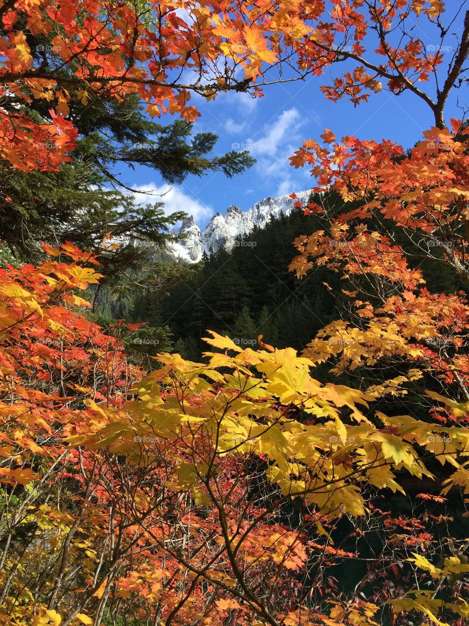 Chilliwack lake provincial park 
