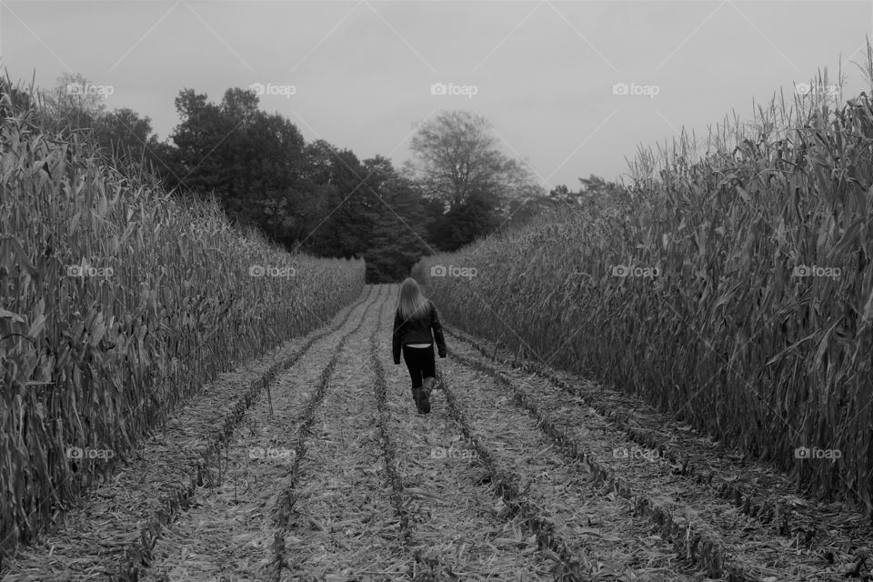 Walking through the corn