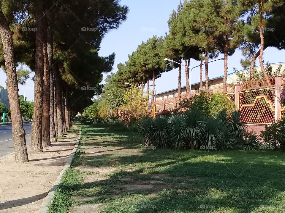 the nuture,no filter