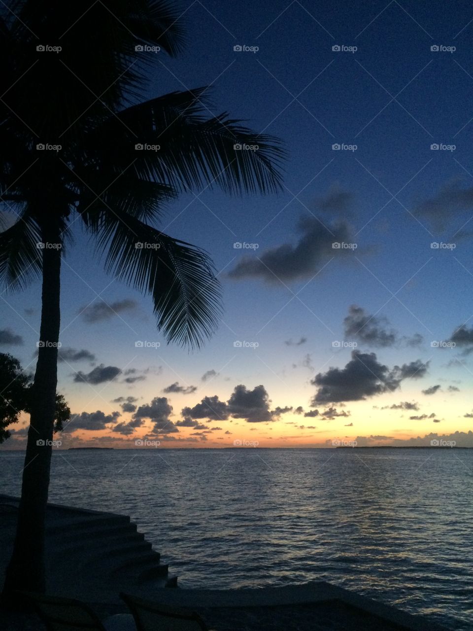 Florida Bay Water