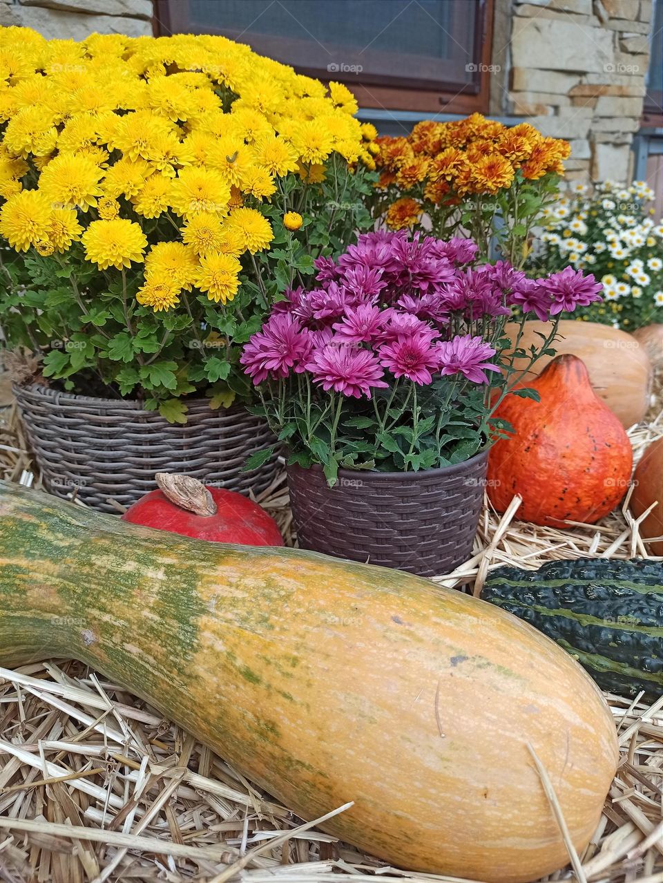 The Colors of Autumn