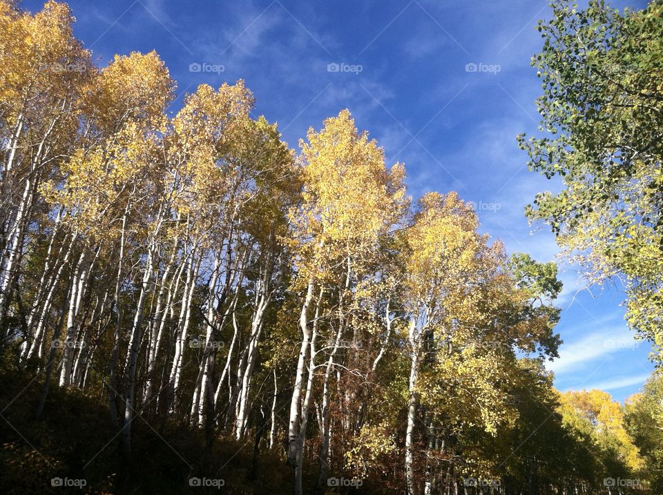 Utah fall. Fall in Utah 