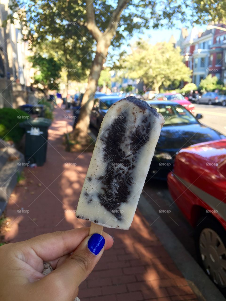 Cookies and Cream Pop. Cookies and Cream Popsicle from Pleasant Pops in Washington, DC. 