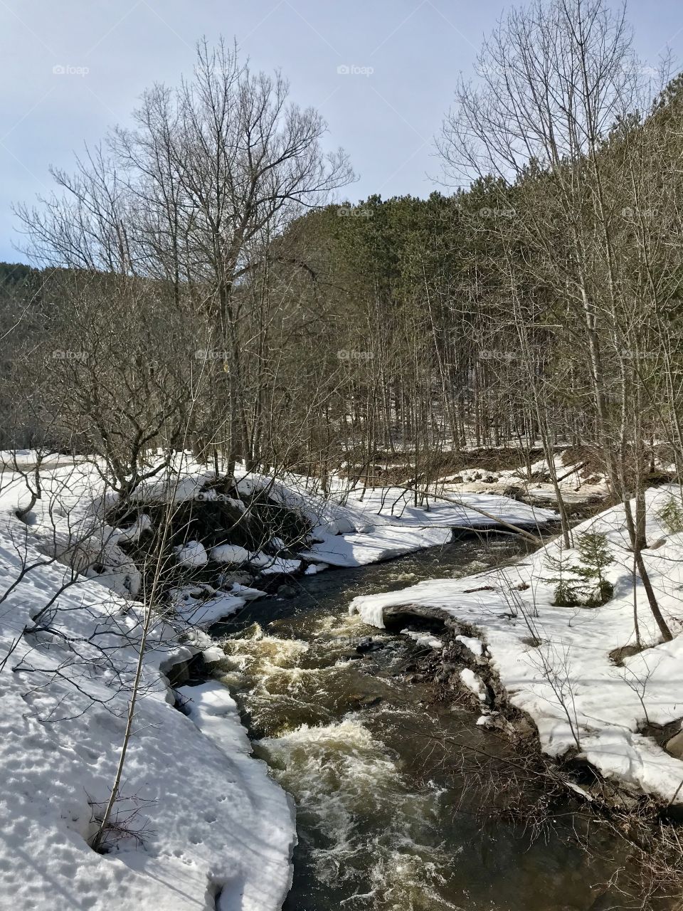 Whetstone Creek in the State Park