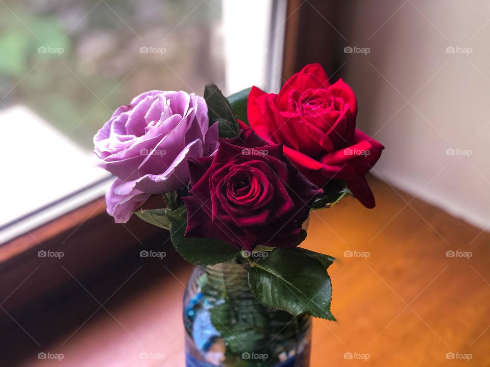 Roses in vase pink, red and deep red from Grandma’s garden 