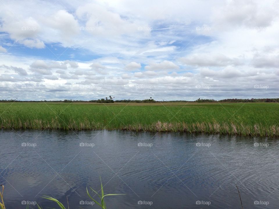 Everglades