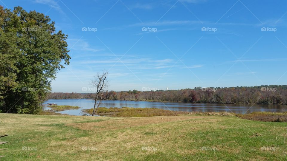 Landscape, Tree, Nature, Lake, Water