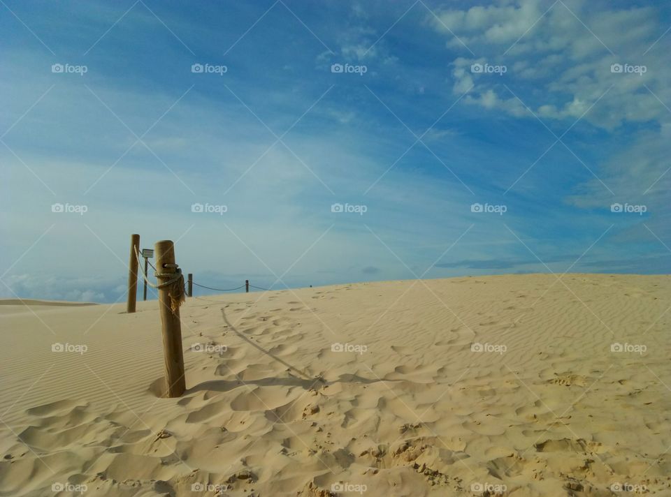 Sand, Beach, Sea, Desert, Seashore