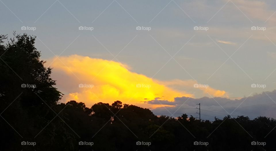 Sunset, Landscape, Dawn, Tree, Sky