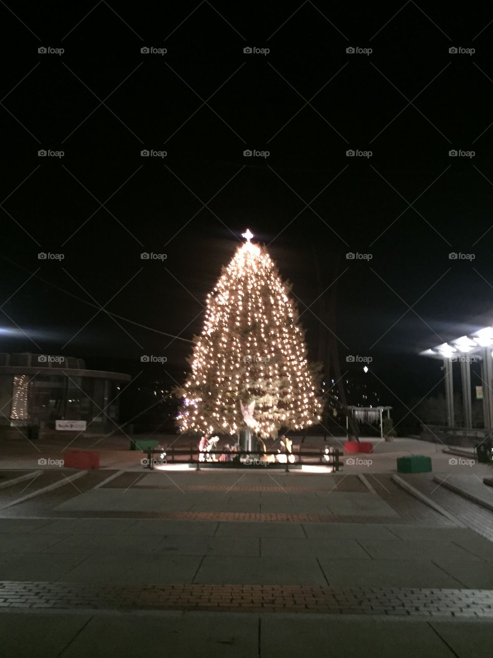 Christmas Tree in Bethlehem PA