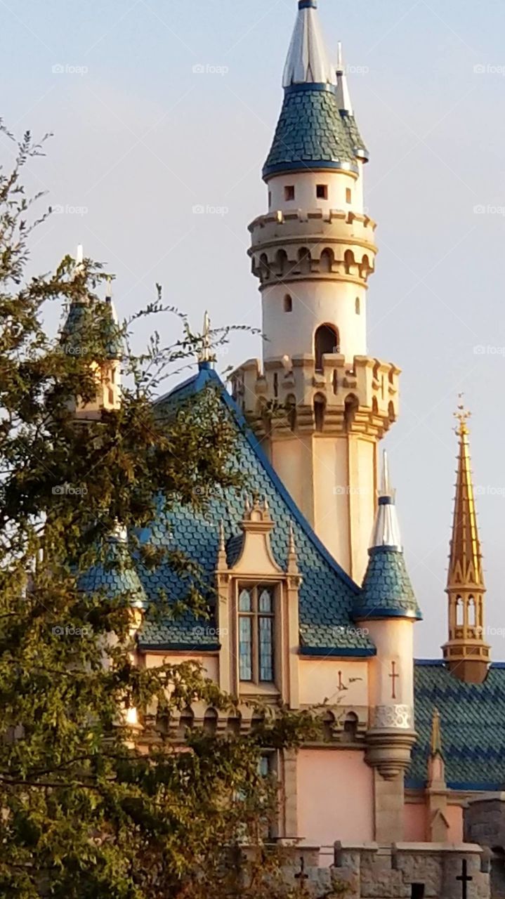 Do u love castles?