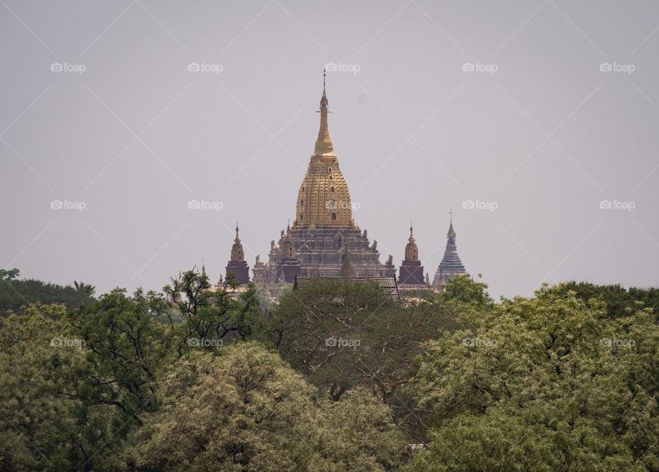 Beautiful golden pagoda behind tree background at Bakan Myanmar