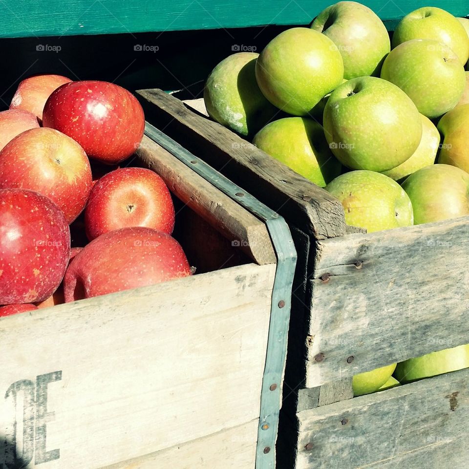 North Carolina apple harvest