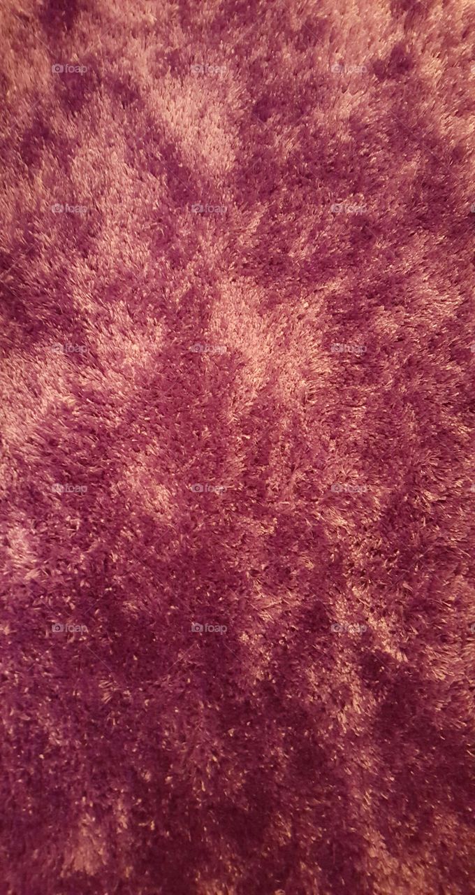 carpet