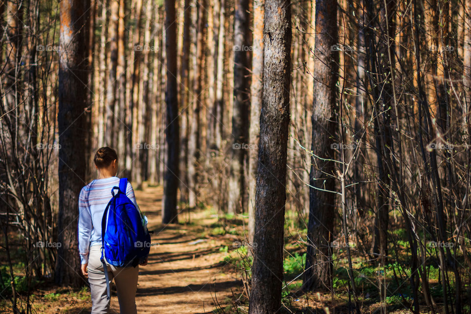 Walking in the forest