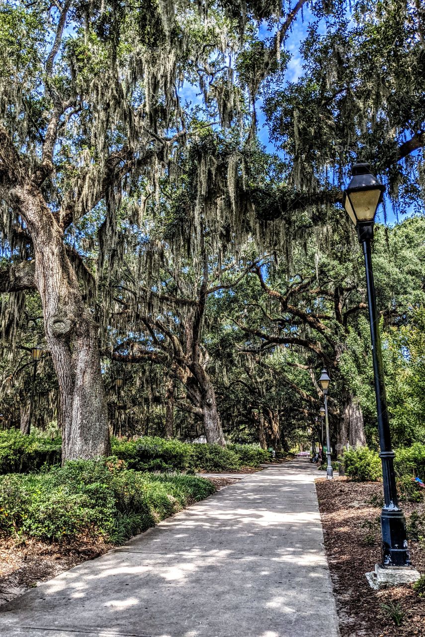 park in Savannah Georgia