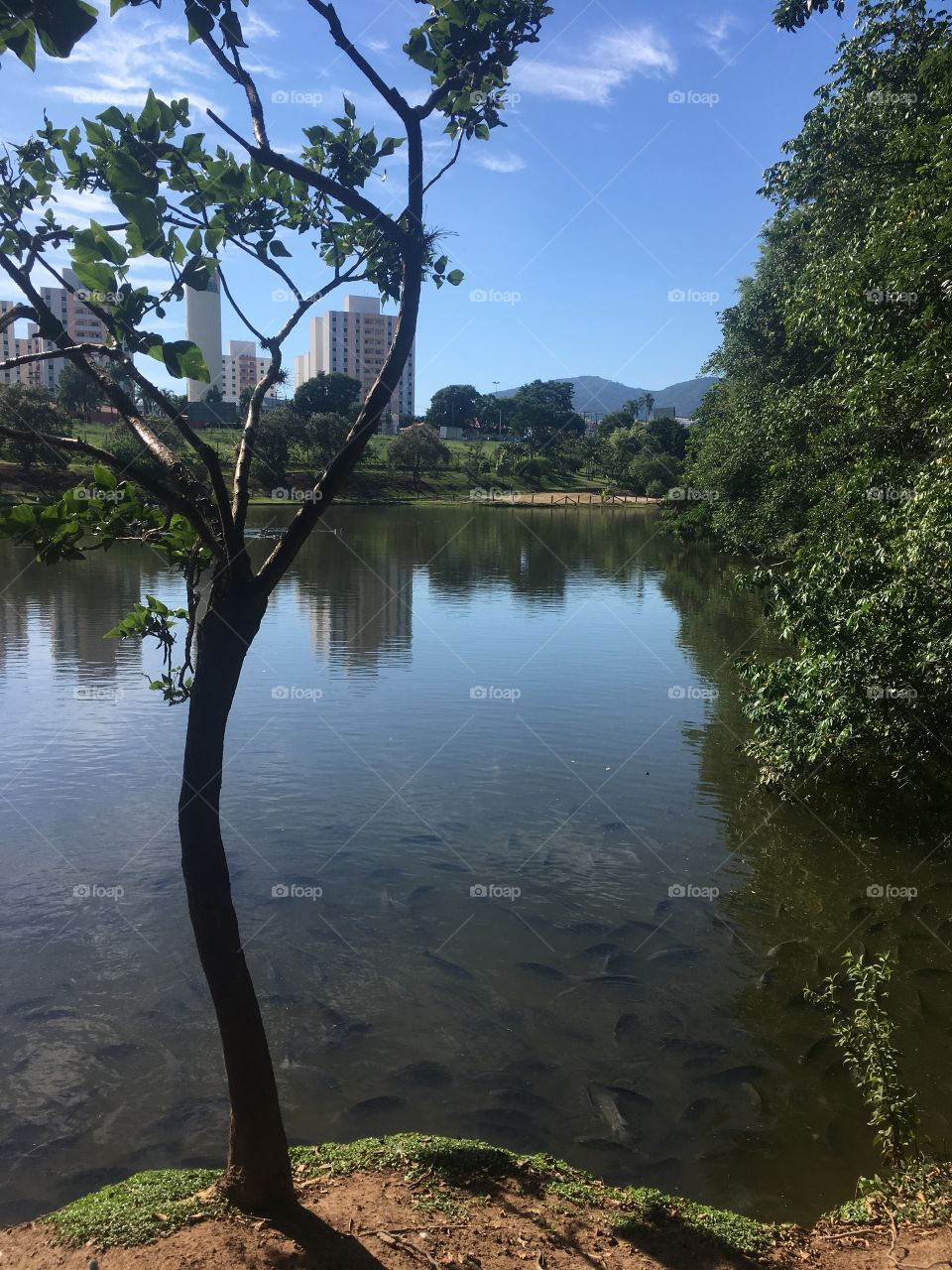 Passeio no Parque Botânico do Eloy Chaves, em Jundiaí. Viva a beleza da natureza!