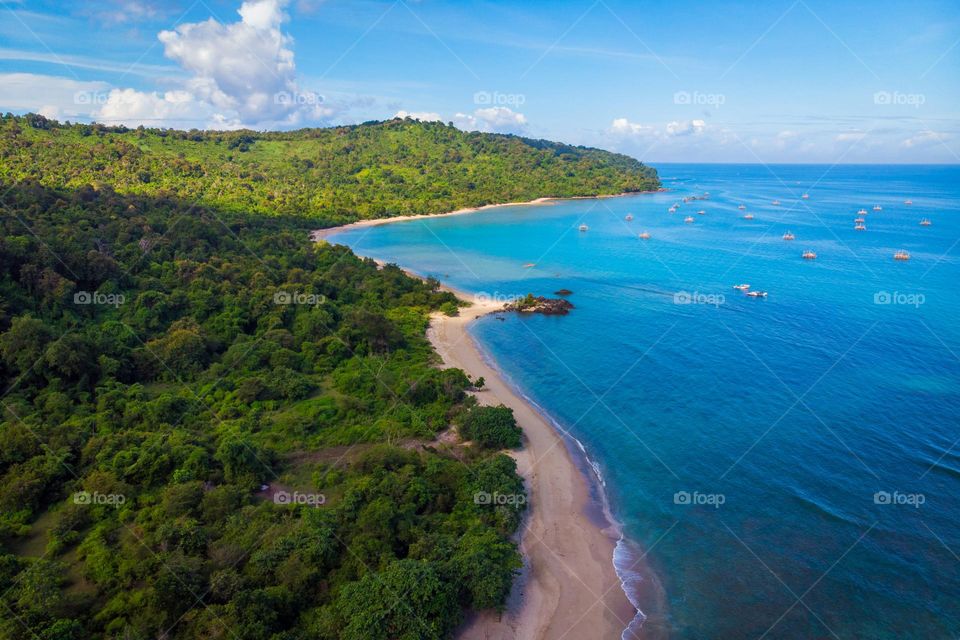 The Nature and Blue Ocean