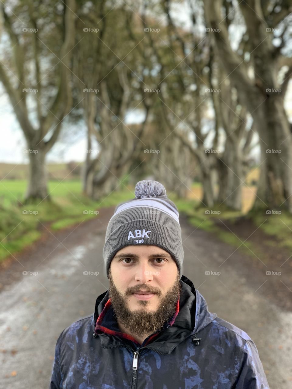 The dark hedges 