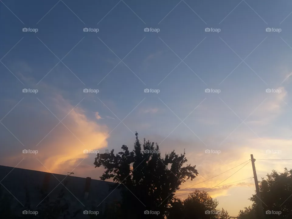 Sky