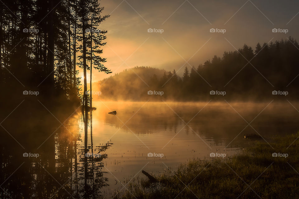 Foggy morning over lake