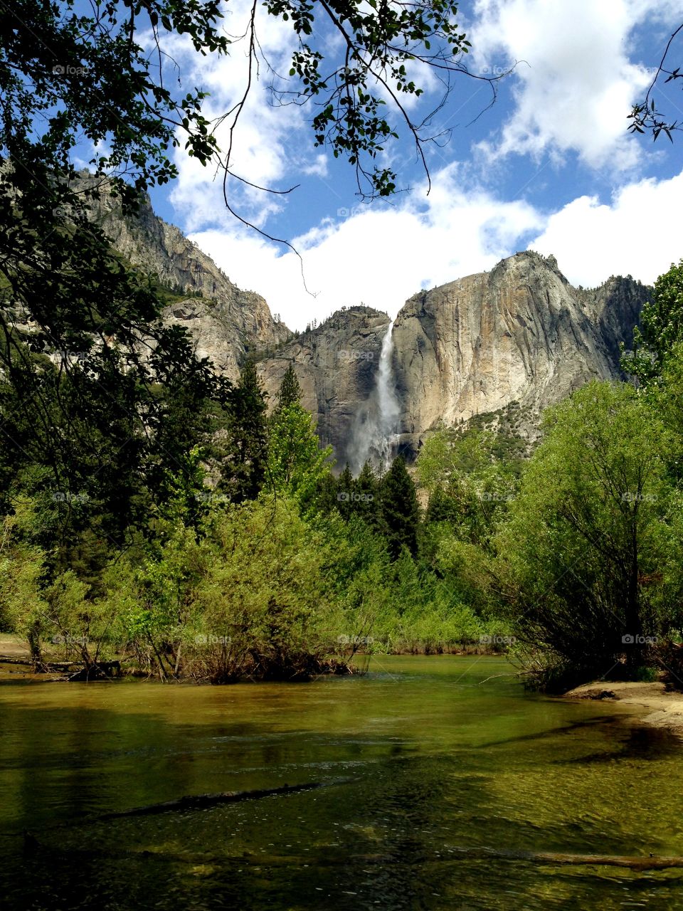 Green Yosemite 