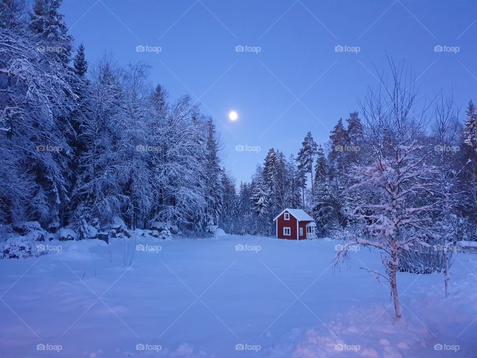 Wintermorning in Sweden