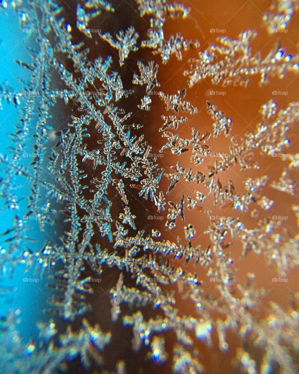 Frost 