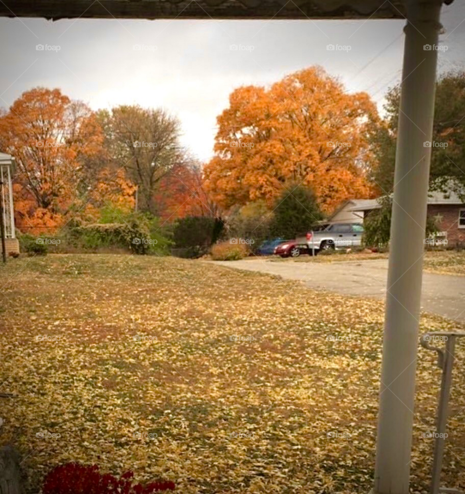 Autumn from the Porch