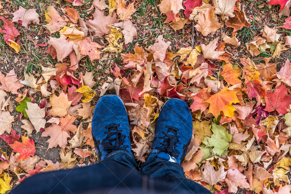 Admiring the fallen autumn leaves