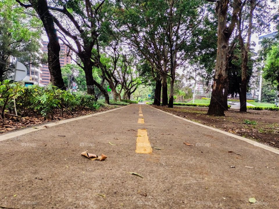 The path of a park in the middle of the city with many trees around