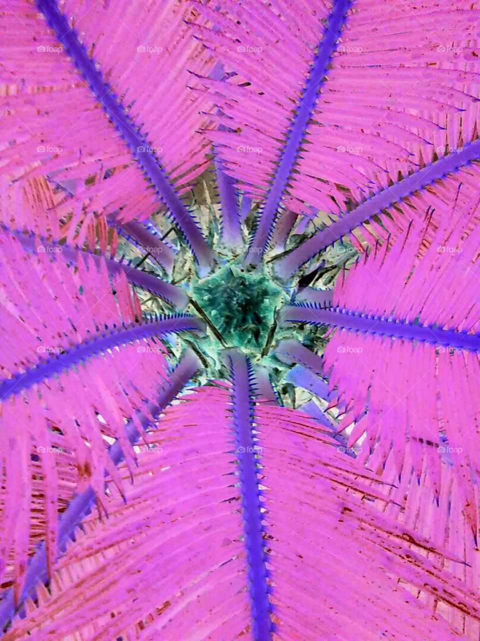 Neon Purple Green Palm Tree