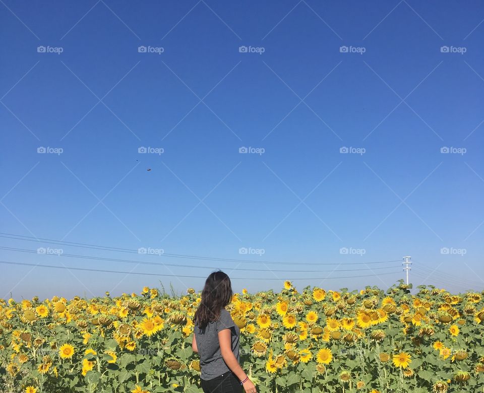 Me in a sunflower field