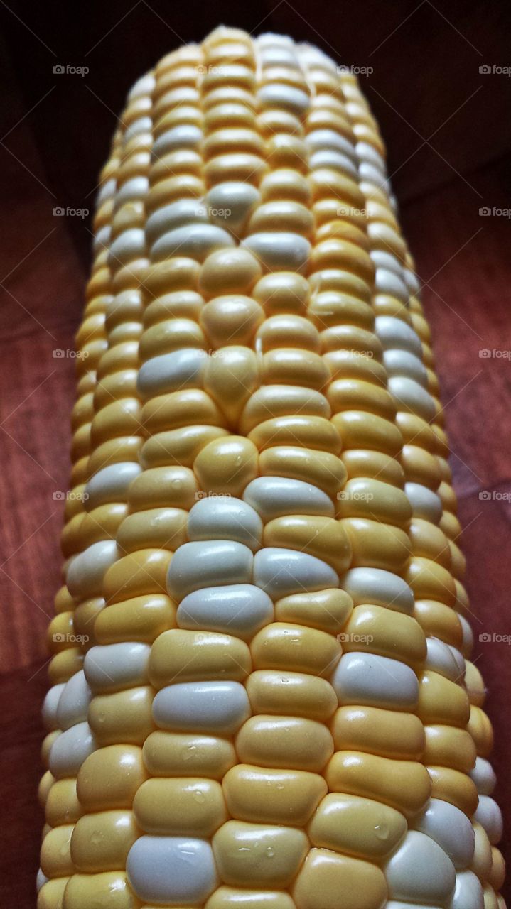 Corn. Cob