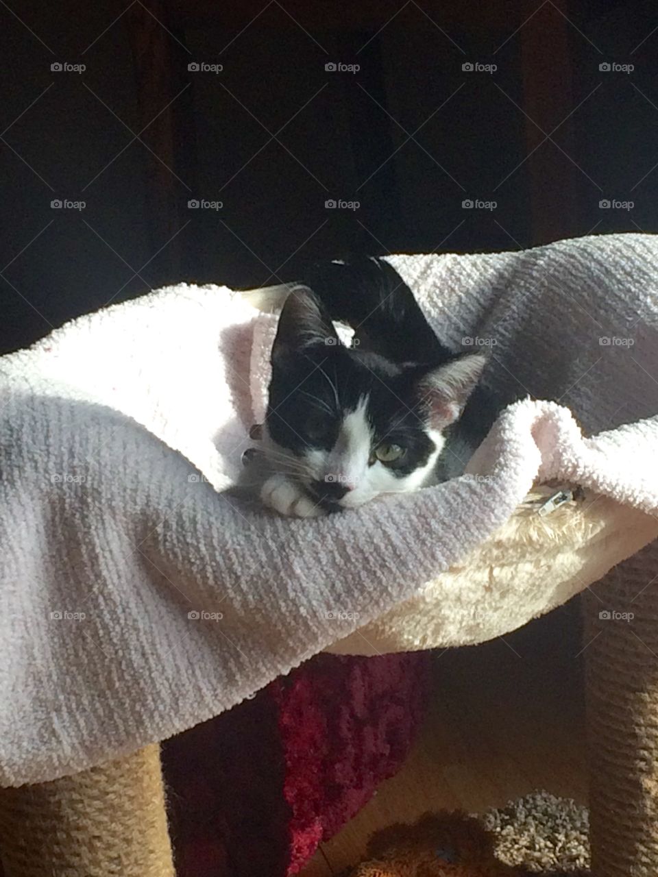 My baby finally being cute for me. 