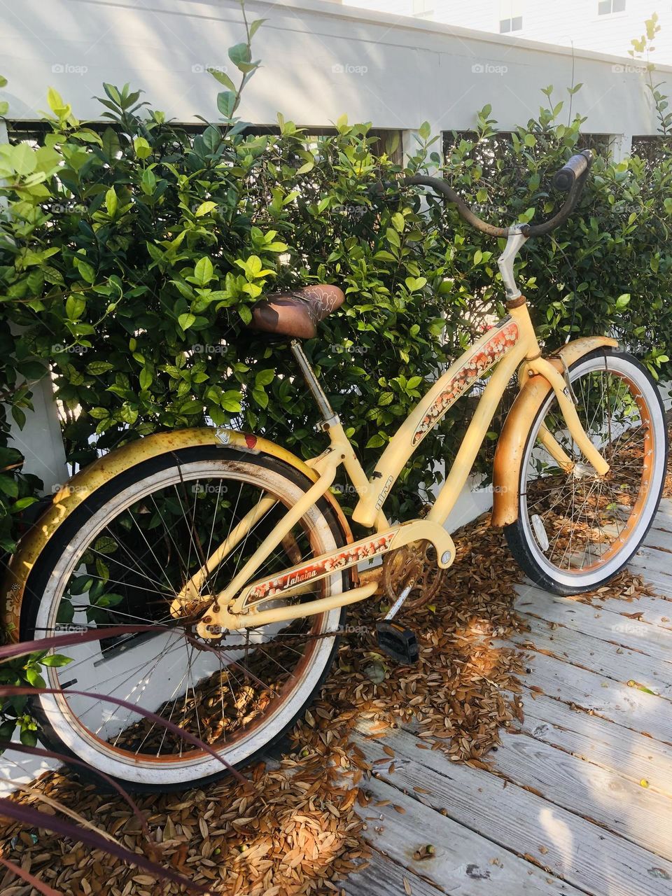 Classic style beach cruiser bicycle. It is yellow with floral design, brown seat and parked on a wooden boardwalk beside shrubbery.