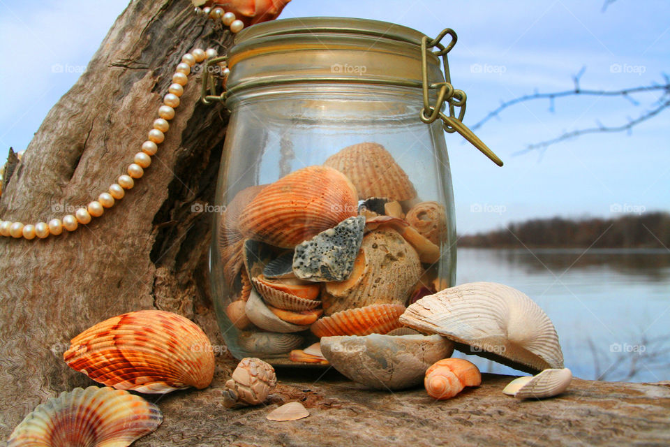 Summer Collection ( Series )