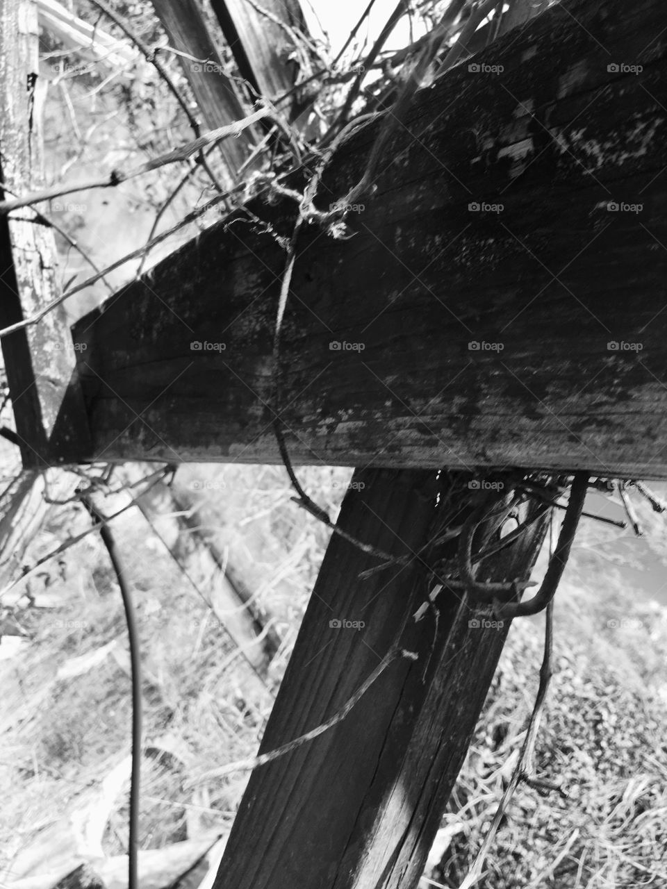 Hawthorne Nursery urbex abandoned