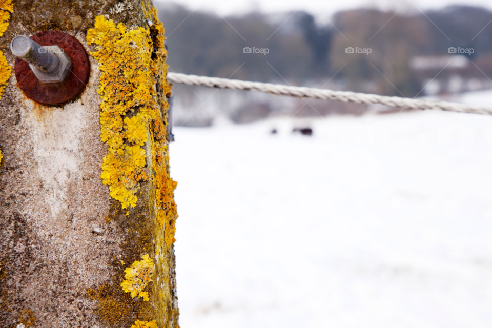 winter yellow color abstract by ilsem16