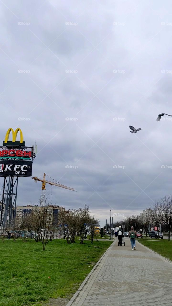 Somewhere in the sky