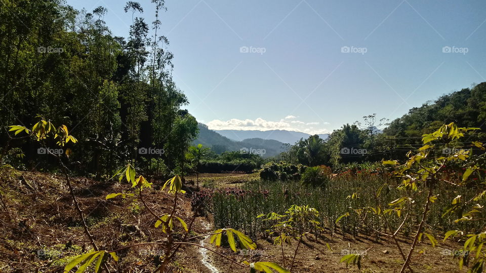 NATURE COUNTRYSIDE RURAL
