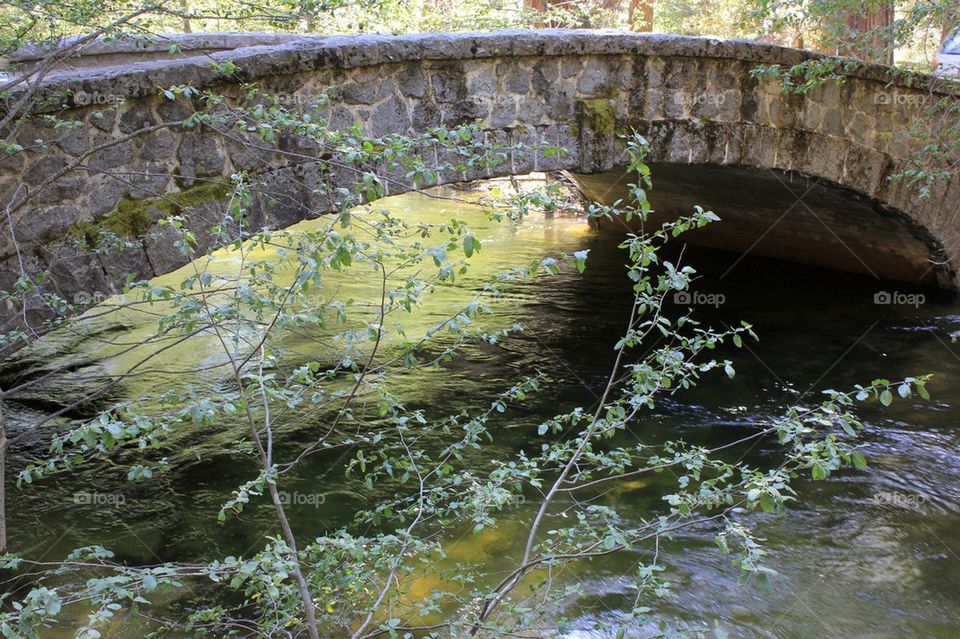 Bridge over water 